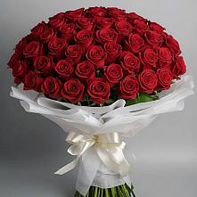Букет 101 Красная роза Блэк Мэджик в Архипо-Осиповка
