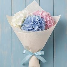 Букет цветов из:  Гортензия в Архипо-Осиповка