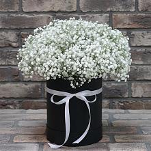 Цветочная композиция из Гипсофила в шляпной коробке #REPLACE_PRED# Архипо-Осиповка