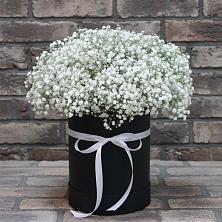 Цветочная композиция из Гипсофила в шляпной коробке в Архипо-Осиповка