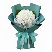 Букет цветов из:  Гортензия #REPLACE_PRED# Архипо-Осиповка